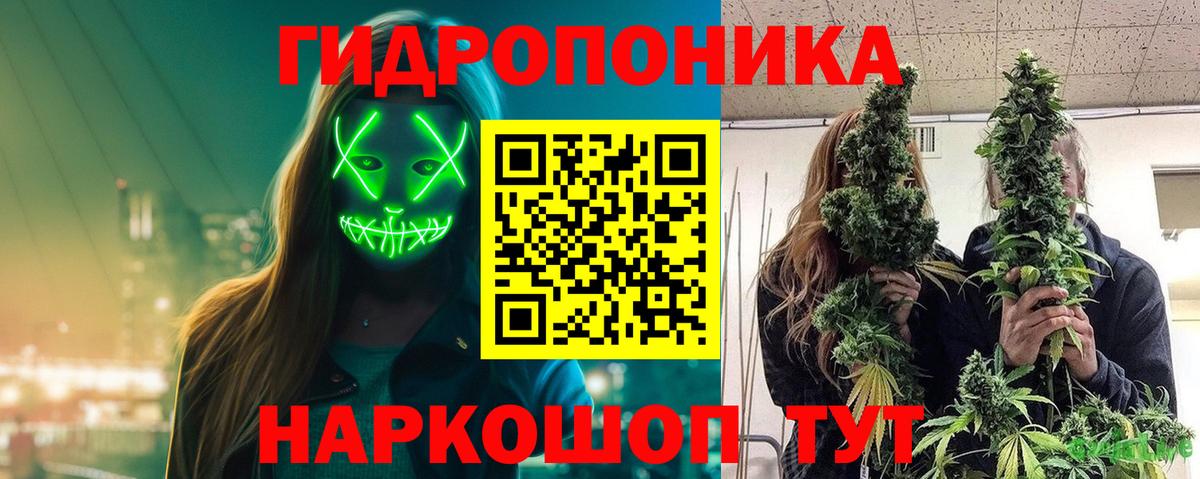 Каннабис MAZAR Дмитров